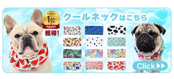 クールネックはこちら