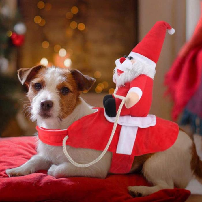 犬 クリスマス サンタクロース 冬 服 コスプレ レッド おもしろグッズ