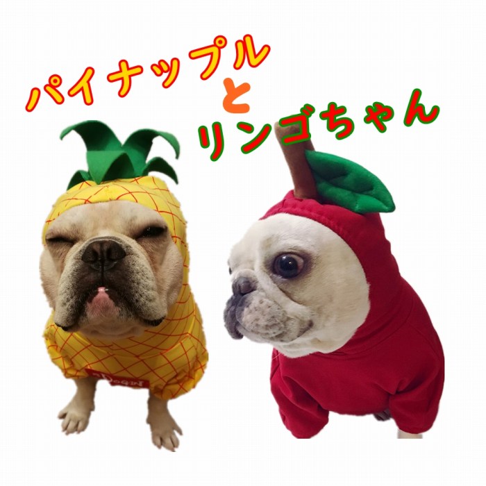 フレンチブルドッグ ハロウィン 犬 仮装 着ぐるみ 服 秋 冬 果物 パイナップル 人形 アップル リンゴ 犬 服 ドッグウェア KM130TS