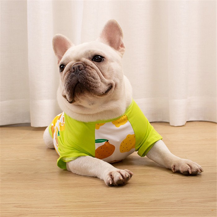 フレンチブルドッグ フレブル Tシャツ 犬 服 レモン柄 ドッグウェア ペットウェア 中型犬 小型犬 ピンクKM156TS