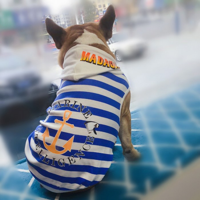 フレブル タンクトップ フレンチブルドッグ 犬 服 ペットウェア パーカー フード付き ストライプ ブルー 海 中型犬 KM240T