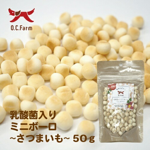 【お取り寄せ】 乳酸菌ミニボーロ さつまいも 50g 日本446322-01