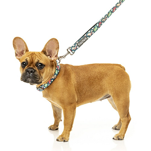 【お取り寄せ】 ファズヤード ネオプレーン リード ダイナソーランド 15 ( S15 , ジェンガ )543299-01