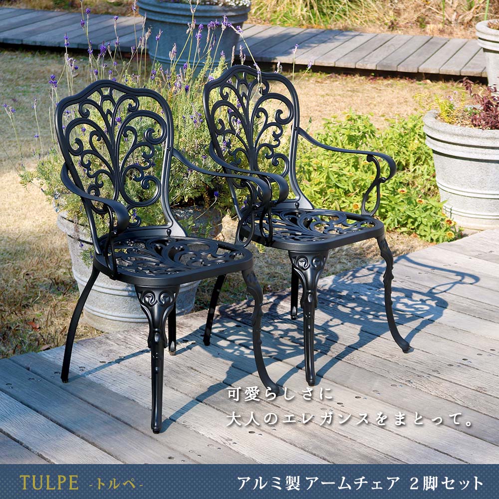 住まいスタイル アルミ製アームチェア2脚セット「トルペ」 BKS-C5289-2P <br> チェア 椅子 スツール ファニチャー アルミ ガーデン  屋外 庭 ベランダ アウトドア 黒 ブラックbks-c5289-2p