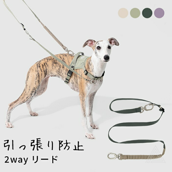 新作 犬 リード 引っ張り防止 衝撃吸収 しっかり 長さ調整可能 一時係留 フレブル フレンチブルドッグ 小型犬 中型犬 全4色 犬用 散歩用リード 丈夫 軽量 シンプル チワワ トイプードル マルチhd029008