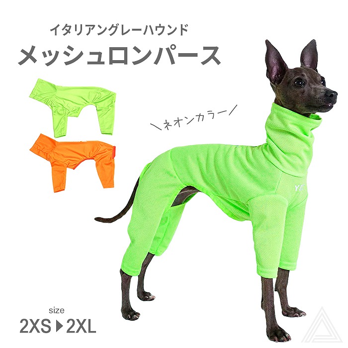 【送料無料】イタグレ 服 メッシュロンパース ネオンカラー 蛍光色 春夏 メッシュ 犬 伸縮性 イタリアングレーハウンド 犬 洋服 ミニピン ミニチュアピンシャー サイトハウンド ベドリントンテリアig033op