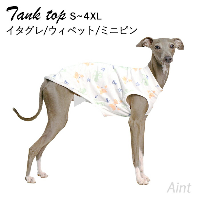 イタグレ タンクトップ ウィペット ミニピン イタグレ服 総柄プリント 薄手 部屋着 可愛い 海 ホワイト 犬 服 軽い S~4XL イタリアングレーハウンド 犬服 ミニチュアピンシャー サイトハウンig037t