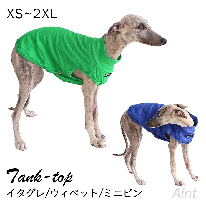 イタグレ タンクトップ 袖なし ウィペット ミニピン イタグレ服 無地 鮮やか 部屋着 犬 服 XS~2XL イタリアングレーハウンド 犬服 ミニチュアピンシャー サイトハウンド グリーン ブルー Iig042t
