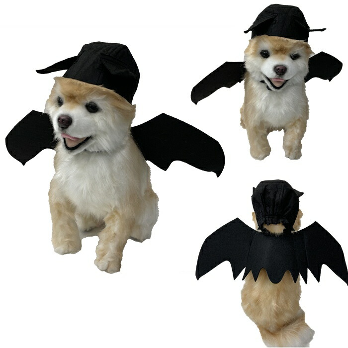 犬 ハロウィン コスプレ 衣装 マジックテープ コウモリ コスチューム 服 羽 ドッグウェア 小型犬 猫 被り物 仮装 パンプキン    お買い物マラソン 1000円 KM638Gkm638g-cp