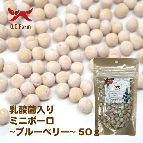 【お取り寄せ】 乳酸菌ミニボーロ ブルーベリー 50g 日本446322-02