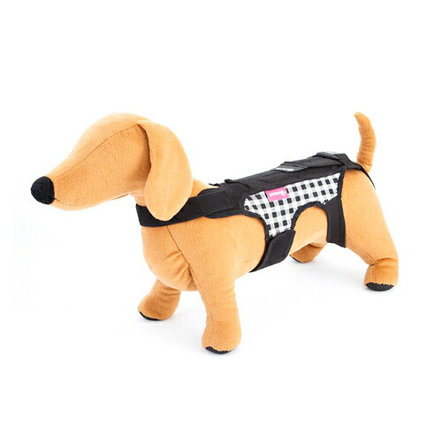 【お取り寄せ】 コムペット ホロノアサポーター チェックSサイズ ( S , チェック )577011-21