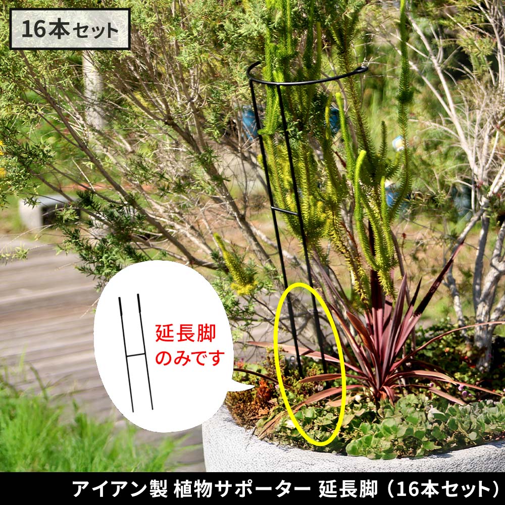住まいスタイル アイアン製植物サポーター 延長脚 16本セット IF-N0051-16P<br>脚のみ 高さ47cm ハーフリング 倒れ防止 広がり抑制 スチール 鉄製 支柱 園芸 植物サポート フラif-n0051-16p