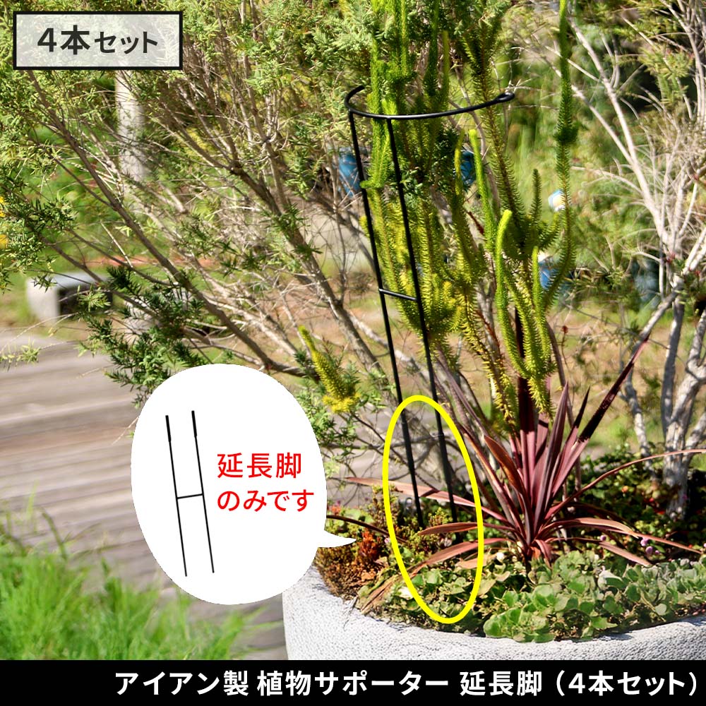 住まいスタイル アイアン製植物サポーター 延長脚 4本セット IF-N0051-4P<br>脚のみ 高さ47cm ハーフリング 倒れ防止 広がり抑制 スチール 鉄製 支柱 園芸 植物サポート フラワーif-n0051-4p