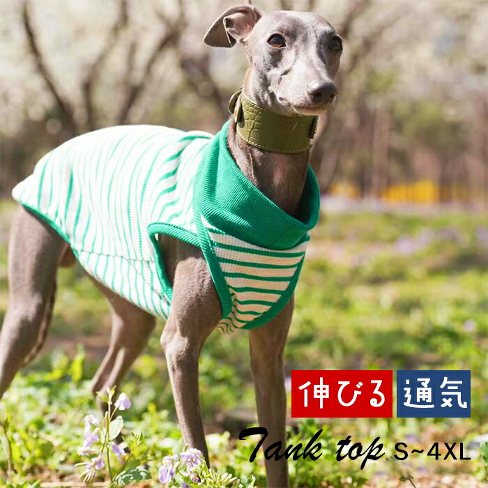 イタグレ タンクトップ ボーダー柄 グリーン イタグレ服 ハイネック 秋 春 犬 服 軽い 伸縮性 S~4XL イタリアングレーハウンド 動きやすい 犬服 ミニピン ミニチュアピンシャー サイトハウンig038t