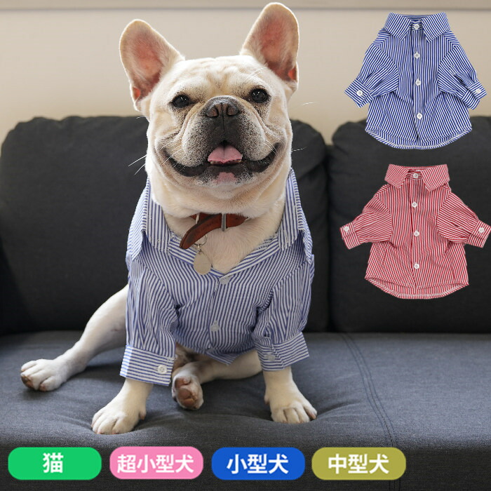 フレンチブルドッグ 服 ペットウェア シャツ 上品 高級感 無地 フレブル 小型犬 中型犬 ストラップ柄 ボタンシャツ 長袖シャツ ブラウス 襟付き 犬服 ペット ドッグ 超小型犬 犬用品 DOGkm499ts